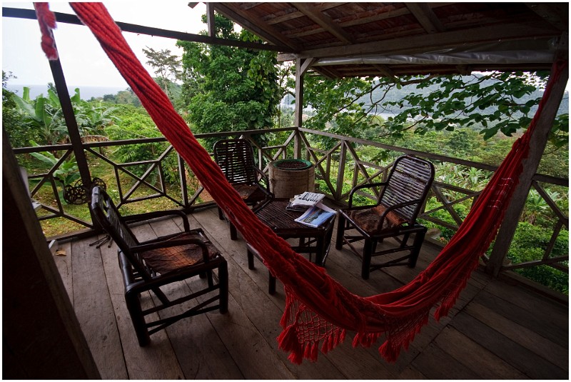 Hammock in the jungle.jpg